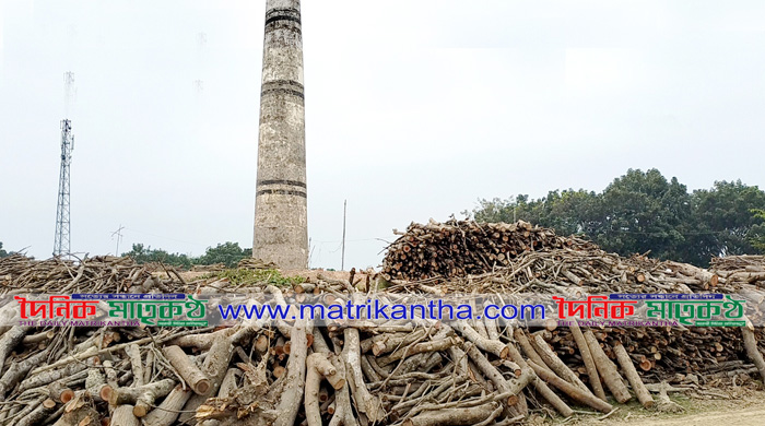 পাংশা উপজেলার কৃষি জমিতে ইটভাটায় প্রকাশ্যে পুড়ছে কাঠ
